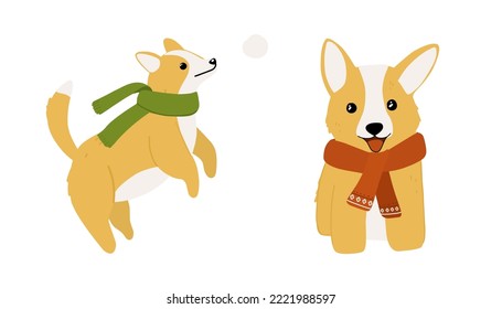 Set of christmas cheerful corgi dog in scarf, vector illustration in cartoon style for postcards, prints, stickers