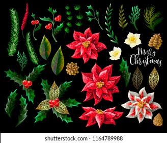 Set of Christmas decor, such as poinsettia, holly berry, fir-cone, fir branch and other isolated. 