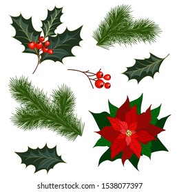 Set of Christmas decorations with fir tree,  branches and holly berries and poinsettia. Design element for Christmas decoration. Vector illustration