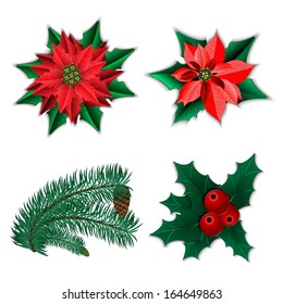 Set of Christmas decorations. Christmas flower poinsettia and holly and fir-tree branch with cone isolated on white. Vector illustration.