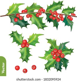 Set of christmas decorations. Holly red berries isolated on white background. 3d realistic vector icon set of 	winter berry
