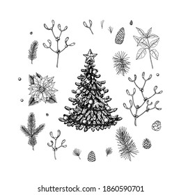 Set of Christmas design elements: decorated fir tree, spruce branches, cones, poinsettia, mistletoe.  Design elements for Christmas cards, invitations, decorations. Vector illustration in sketch style