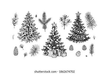 Set of Christmas design elements: decorated fir tree, spruce branches, cones, poinsettia, mistletoe.  Design elements for Christmas cards, invitations, decorations. Vector illustration in sketch style