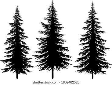 Set Christmas Fir Trees, Black Silhouettes Isolated On White Background. Vector