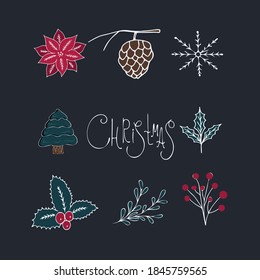 set of christmas floral elements, collection of vector images, flower, leaves, berries, pine cone, tree, snowflake and lettering