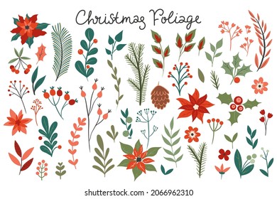 Set of Christmas foliage isolated on white background. Vector graphics.