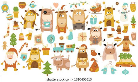 Set of Christmas graphics, cute little bulls for new year design. 2021 is the year of the ox. Vector illustration in trendy mustard colors. Isolated on white background.