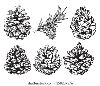 Set Of Christmas Hand Drawn Pine Cones