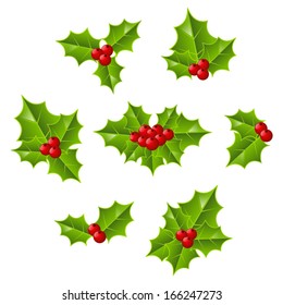 Set of Christmas holly leaves