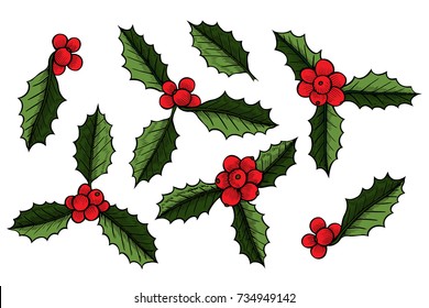 Set of Christmas mistletoe, holly berry with leaves. Hand drawn vector illustration. Botanical Xmas decor element. Great for logo, icon, label, holiday decoration.