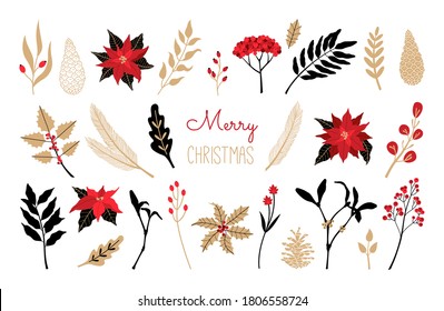 Set of Christmas, New Year plants, poinsettia, pine, berry Laurel in red, gold and black colors. Hand drawn floral collection. Vector illustration in Scandinavian style isolated on white background. 
