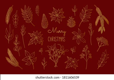 Set of Christmas, New Year plants, poinsettia, pine, mistletoe, holly berry, laurel in gold colors. Hand drawn floral collection. Vector illustration in doodle style isolated on red background. 