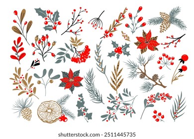 Set Christmas New Year winter flower plants botany. Vector illustration.