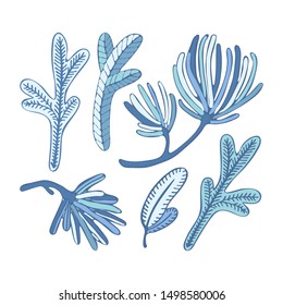 Set Christmas pine, fir tree, cedar branches sketch. Hand drawn vector  drawing elements for Christmas and New Year design. Cute vintage style. Element for Christmas design decoration.