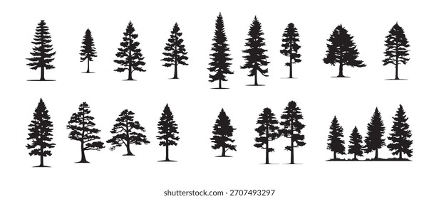 Conjunto de silueta de pinos de Navidad aislados sobre fondo blanco. Ilustración vectorial de árboles forestales