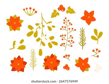 Set of Christmas plants, berries, flowers and leaves isolated on white background. Holly berry, mistletoe, Christmas tree branch, Poinsettia. Traditional winter holiday plants. Vector illustration