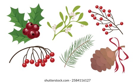 Set of Christmas plants in cartoon style. Vector illustration of winter: green holly leaves with red berries, mistletoe, cone with ribbon, pine branch, viburnum branch isolated on white background.