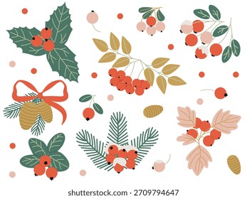 A set of Christmas plants for decorating festive elements with a Christmas tree and berries 
