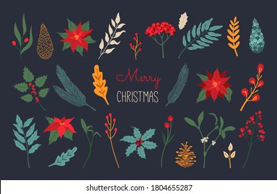 Set of Christmas plants and leaf, poinsettia, pine, berry laurel. Hand drawn floral collection, 2022 New Year elements. Vector illustration in flat cartoon style isolated on dark blue background. 