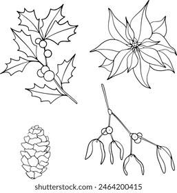 Set von Weihnachtsmusiken Pflanzen Linie Kunst. Ink Grafik Poinsettia, Zweig von Ilex mit Beeren, Misteln und Nadelbäumen immergrünen Baum mit Kegel. Handgemalte Umriss botanische Illustration für Grüße, Karten