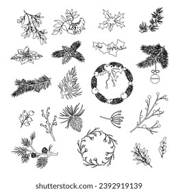 
Set of Christmas plants outlines. Isolate on a white background. Vector illustration.