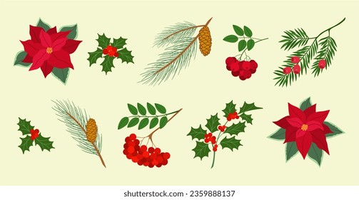 Set of christmas plants, pine branches with cones, yew, holly berry, red rowan, poinsettia, Hand drawn vector illustration isolated on light background. Flat cartoon style.