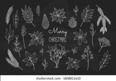 Set of Christmas plants, poinsettia, tree brunch, holly berry, laurel, mistletoe for decoration. Xmas collection of flowers. Vector illustration in doodle style, isolated chalkboard background. 