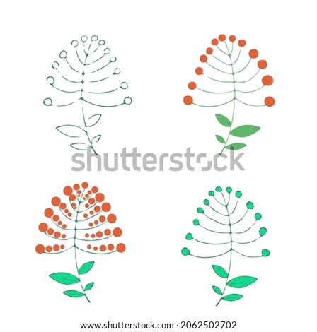 Set of christmas plant's scetches 