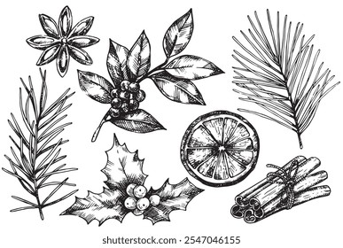 set of Christmas spices, cinnamon, anise, dried orange, spruce branches. vector drawing in sketch style, vintage