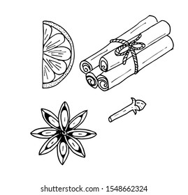 Set of christmas spices for mulled wine cloves, cinnamon, orange, cardamom. Hand drawn outline doodle illustration.