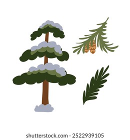 Set of Christmas tree and branches with cones. Vector