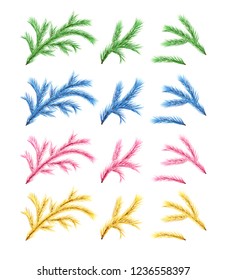 Set of Christmas tree branches in different color variations. Vector fir branches on white background