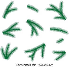 Juego de ramas de árbol de Navidad. Fir. Temporada de Año Nuevo. Naturaleza invernal. Ilustración vectorial.