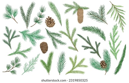 Set of Christmas tree branches. Evergreen pine growths with cones, cedar and coniferous twigs. Winter elements for New Year decorations. Cartoon flat vector collection isolated on white background