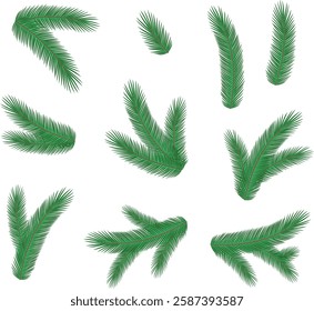 Set of Christmas tree branches set. Evergreen fir. New year season. Winter nature. Vector illustration. Design element.