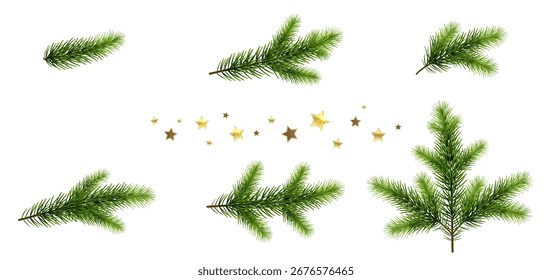 set of Christmas tree branches with golden stars on white background