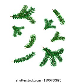 Set of Christmas tree branches isolated on white
