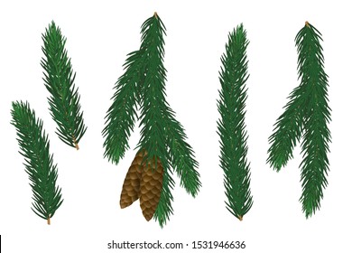  Set of Christmas tree branches. Realistic fir branches with cones on white background. Isolated vector illustration. Elements for greeting card, invitations, poster, web banner design.