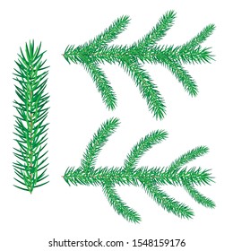 Set of Christmas tree branches. Vector illustrations for card, postcard, greeting card, invitation, banner isolated on white background.