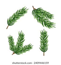 Set of Christmas tree branches. Vector illustration. Isolated on a white background. Flat design.	

