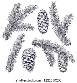 Set christmas tree and cone. Black line ink on a white background. Vector illustrations