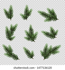 Set Christmas tree isolated on white background, pine fir branches.