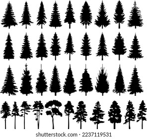 set of christmas tree, spruce, pine tree silhouette design vector isolated