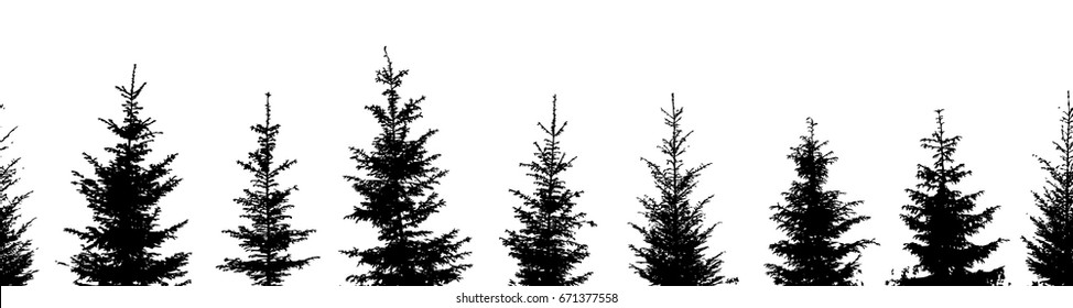 Set Christmas trees seamless background. Vector