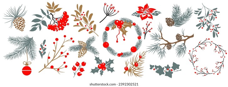 Set Christmas winter flower plants botany. Isolate on a white background. Vector illustration.