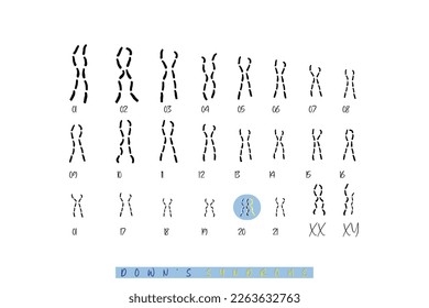 Set of chromosomes of a person with downs syndrome. World down's syndrome day awareness concept art.