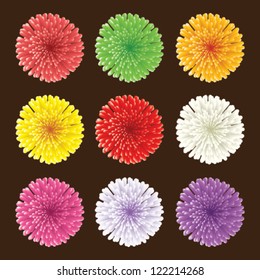 Set of Chrysanthemum