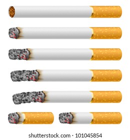 Set of Cigarettes During Different Stages of Burn. Each is isolated on white.