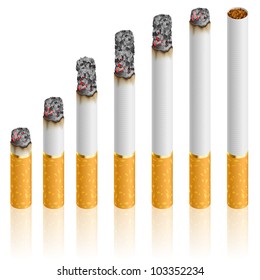 Set of Cigarettes During Different Stages of Burn.