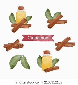 Set Of Cinnamon Sticks With  Leaves And Oil, Watercolour Style Vector Illustration.